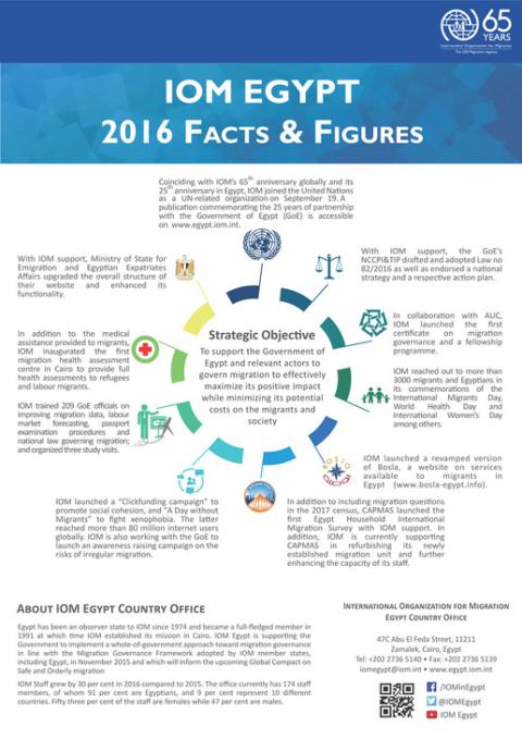 IOM Egypt Annual Fact Sheet 2016